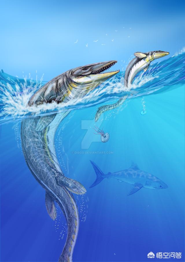 海蛇图片:史前海洋巨兽沧龙是怎样的生物？它们的体型有多大？
