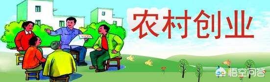 农村种植好项目(种植业什么前景最好 农村)