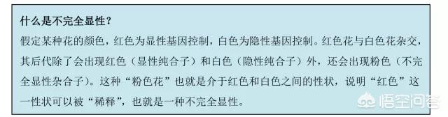折耳猫为什么不能养:如何劝说母亲不要繁殖折耳猫？