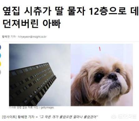 西施犬价格多少钱一只，2岁女儿被狗咬，失控爸怒抓西施犬从12楼摔下，你怎么看？