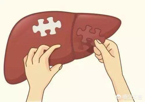 ​有人说肝不好的人,手上会出现“一处变细,二处发红,三处异常”,具体指的是什么？肝不好怎样养护？