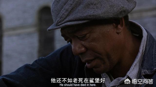 肖申克的救赎主演:电影《肖申克的救赎》为什么有那么高的分