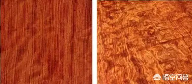 缅甸花梨与刺猬紫檀哪个好？插图20