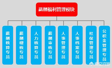 人力资源部门一般都设哪些岗位