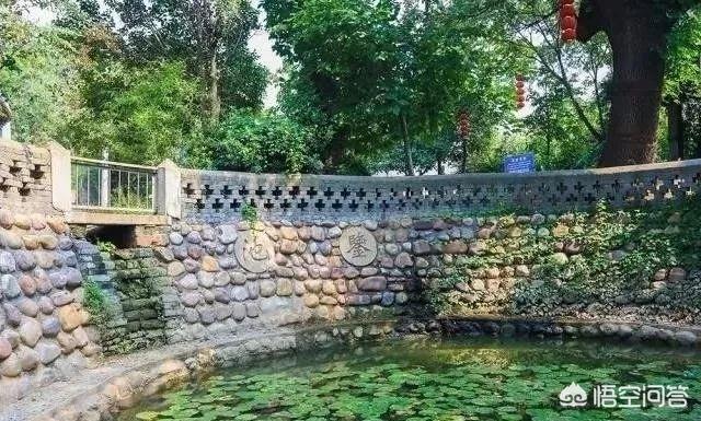 洛阳周边游:洛阳周边游有哪些地方景点一定要去？(洛阳景区有哪些景点开放)