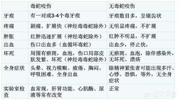被黑色乌苏里蝮蛇咬了怎么办:被蛇咬了，离医院太远，有什么急救方法？