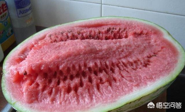 石头瓜,石头瓜是什么瓜如何种植石头瓜?