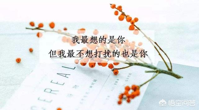 放扬的心心:明明心里还放不下那个女人，却又不愿意去联系她，怎么办
