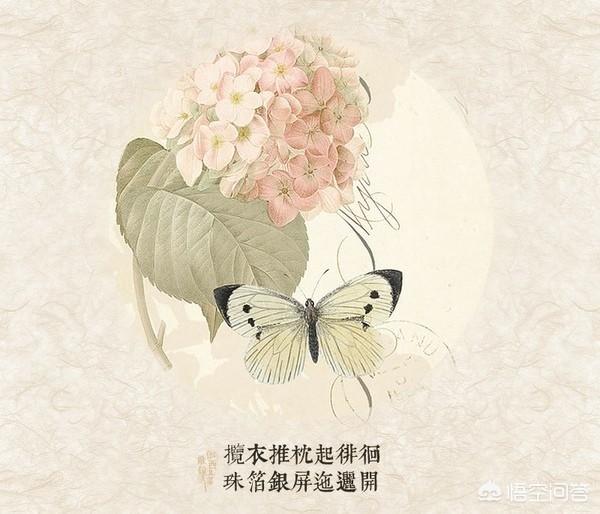 古诗和现代诗真正的差距是什么？