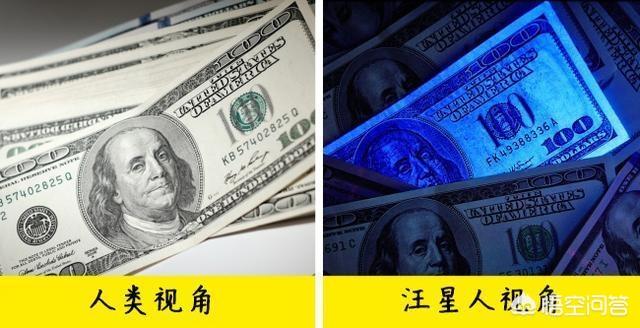 改变世界的犬类 mkv:狗狗的眼睛里看到的世界是什么样的？