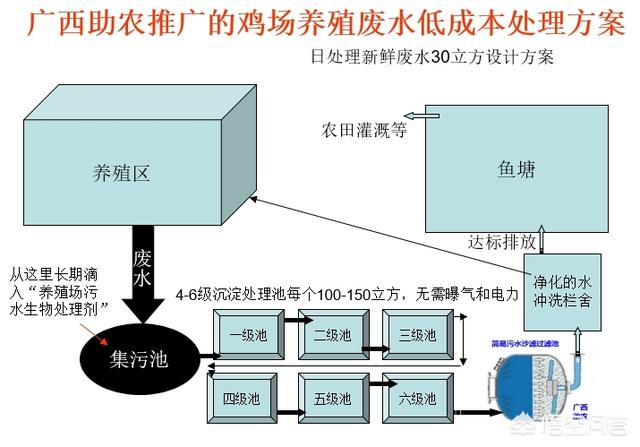 宠物兔养殖基地建设实施方案:生态种养合作社创业计划书怎么写？