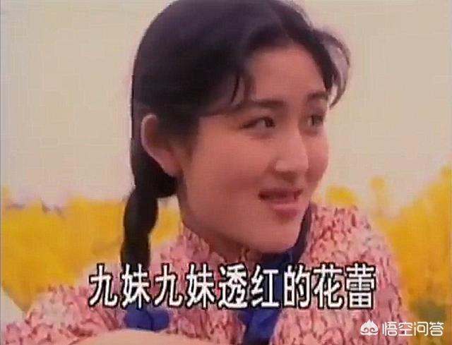 谢娜自传:太阳女神谢娜，如何从北漂青年一步步成为综艺一姐的？