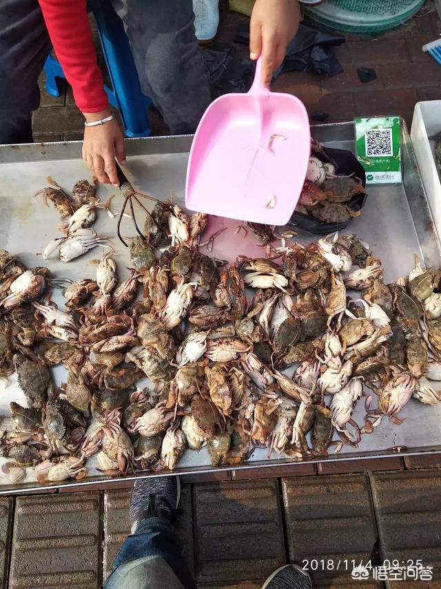 大连深海鱼种类:深海鱼种类介绍 辽宁产的海鲜有哪些？各种海鲜的上市季节又什么时候？