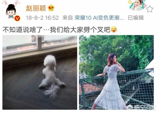 周冬雨否认恋情:如何看待赵丽颖将微博设置为半年可见被嘲讽？