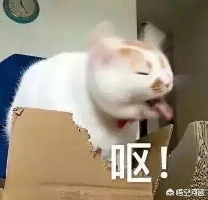 风靡<a href=https://maguai.com/list/256-0-0.html target=_blank class=infotextkey>朋友圈</a>表情包:大家都有什么表情包可以分享一下吗？
