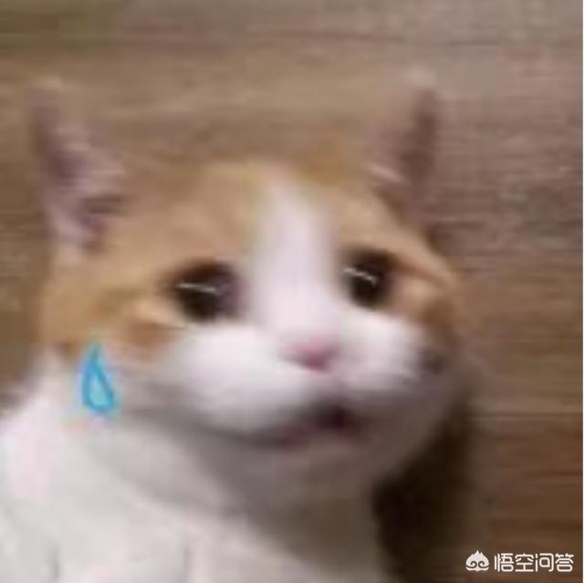自媒体影视文章是推荐火热电影还是冷门电影好呢？热门都看过,冷门没人阅读；望有大神指点？