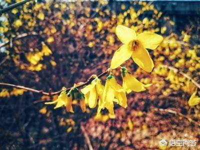 微信名字好听又霸气:我要给微信起一个霸气名字