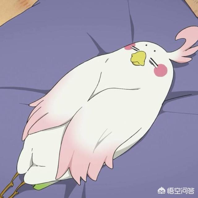 哲也二号嘴里叼花的图片:哲也二号图片 电影和电视剧的区别有哪些？