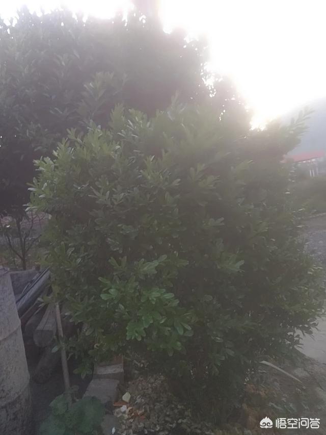 请大家讲一些短篇细思极恐的鬼故事？