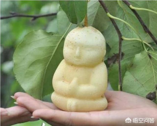 头条问答 - 为何《西游记》的妖怪,那么想吃人参果唐僧肉这些天材地宝