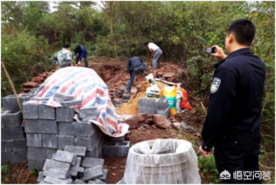 翡翠森林宠物殡葬:农村自留承包的山林地建造墓地是否违法？