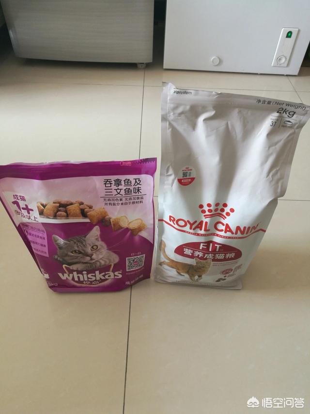 给英短吃的猫饭:大家家里养的英短都怎么喂养的？