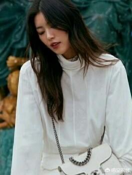 李依晓的胸:如何看待爱狗人士女明星李依晓被另一个女明星叶璇的狗严重咬伤？
