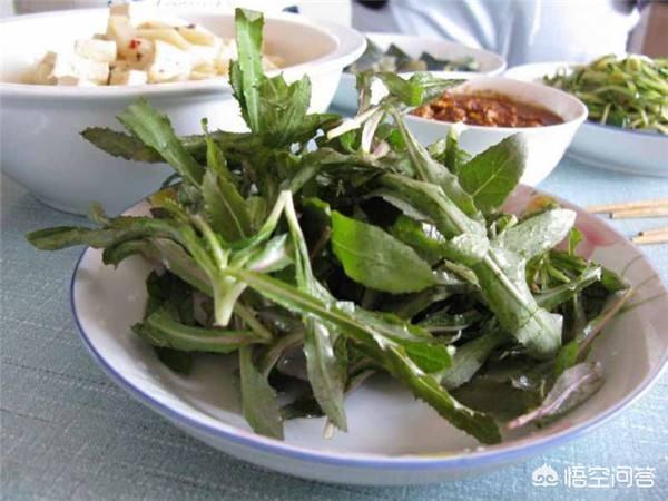 农村地里的曲麻菜好吃吗，春天农村菜园子里可以种植哪些好种又好吃的蔬菜？