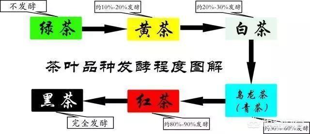 为什么中国茶叶分“六”大类呢？