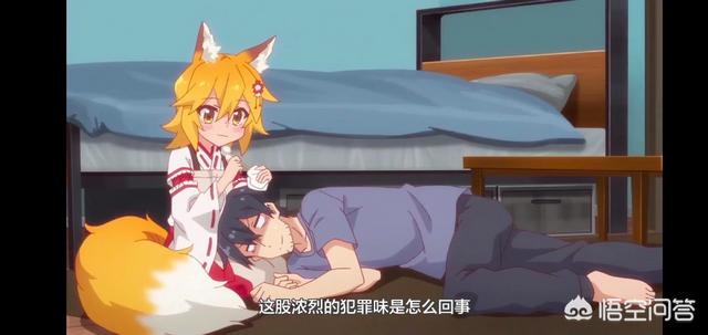 猫咪日常动漫全集:2019年有哪些日常系的动漫值得推荐？