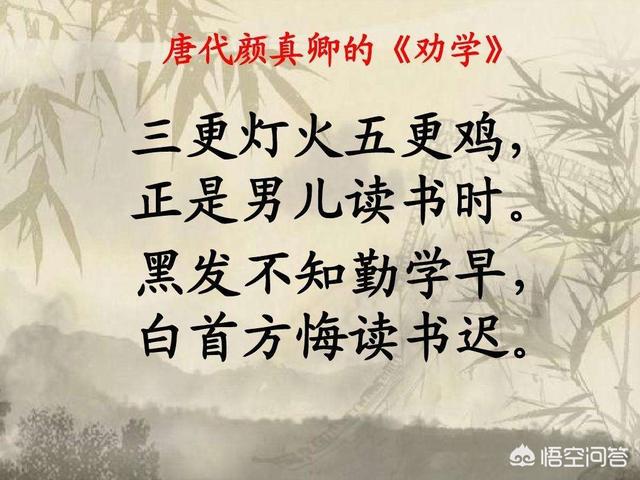 青青园中葵,象征什么？