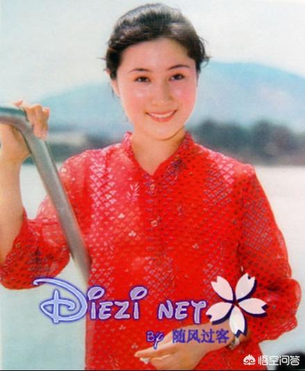 丁薇老公:影视演员，丁岚的现在老公是谁。丁岚现在干什么？