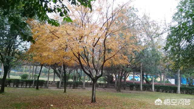 日柱看婚姻准吗,日子久了真的可以生情吗？