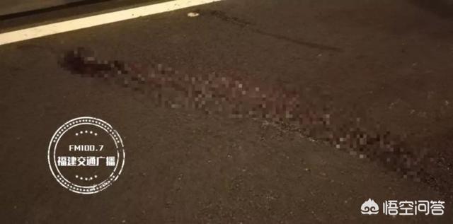 横穿马路碾压身亡:福州三江口大桥一对母子横穿马路，不幸被撞身亡，你如何评价