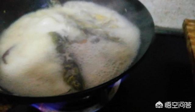 狗獾子做火锅怎么烧:你吃过黄辣丁吗？怎么做最好吃？