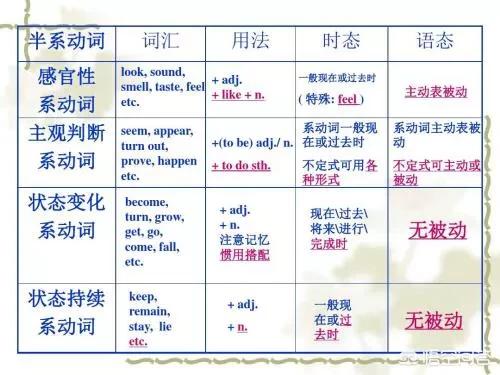 fish4dogs羊肉狗粮排行:要给狗狗做绝育吗？做了绝育之后狗狗有哪些反应？