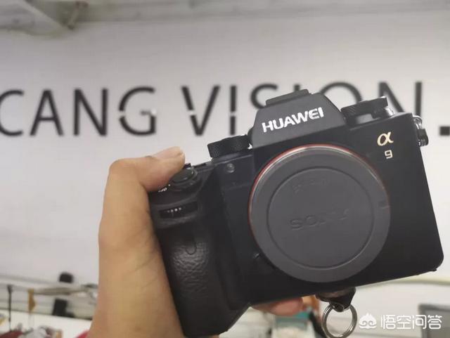 佳能单反相机各型号的区别是什么？