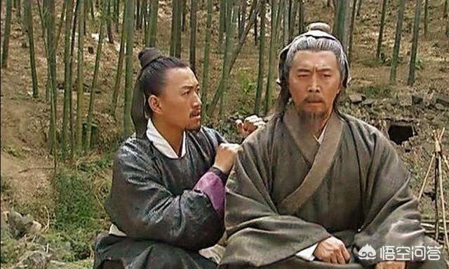 第七马贵宾资料网:贵宾犬的智商相当于几岁的人？