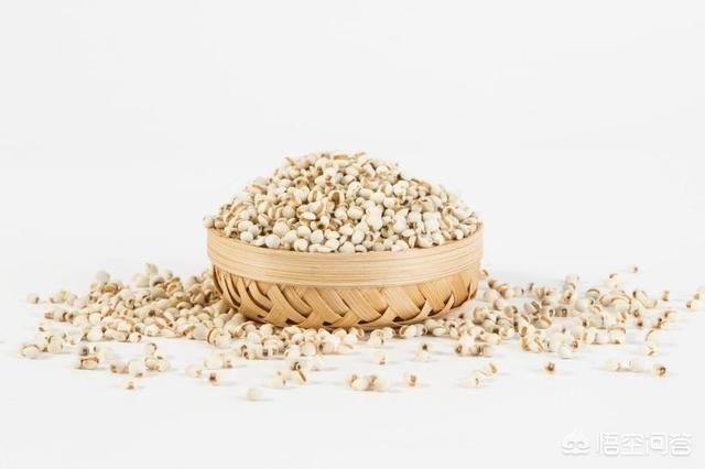 鸡母珠:芡实红豆薏米茶真的可以去湿气吗