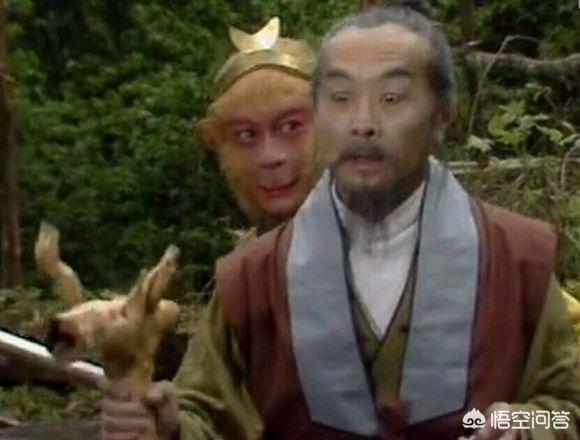 释小龙主演的电视剧:有哪些当年很火的电视剧，现在鲜有人提起