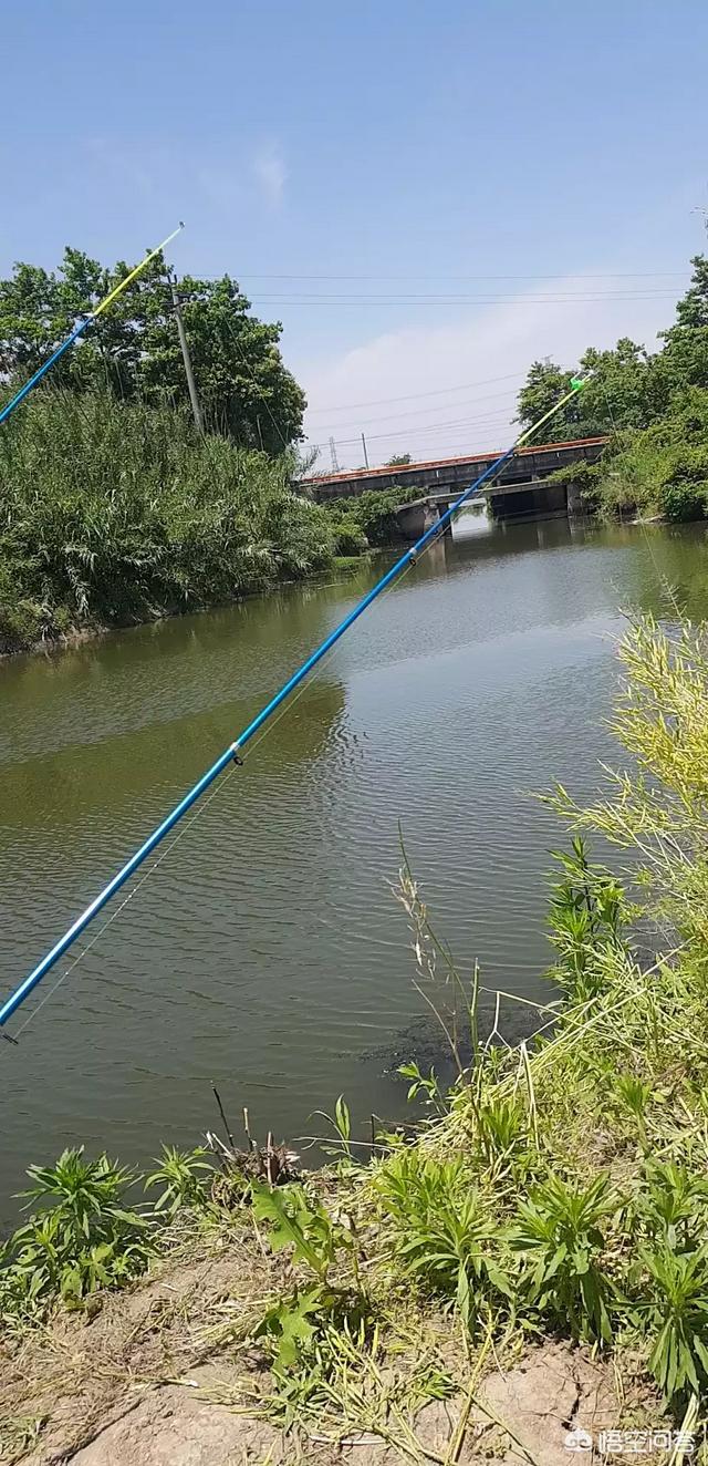 头条问答 - 东南西北风不同,对钓鱼有什么影响?(36个回答)