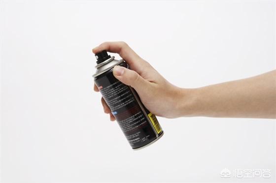 黑眉锦蛇:农村常见的菜花蛇真的可以吞下五步蛇吗？