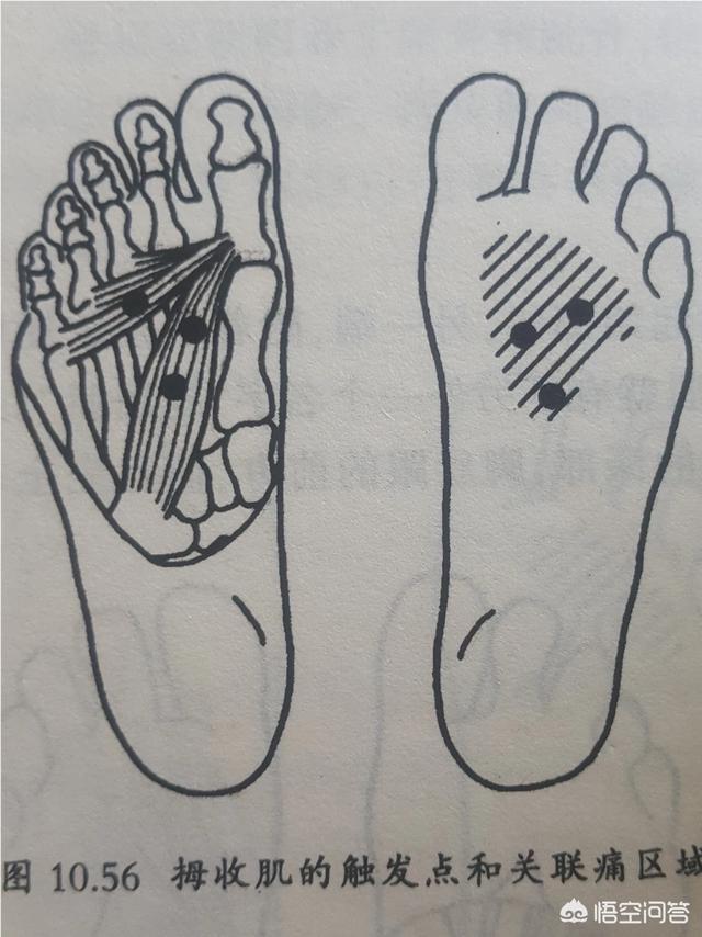 涌泉的准确位置图,按摩刺激涌泉穴有什么好处？