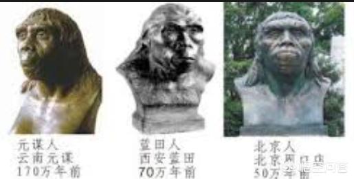 中国人是元谋人进化,那外国人是由什么进化的？