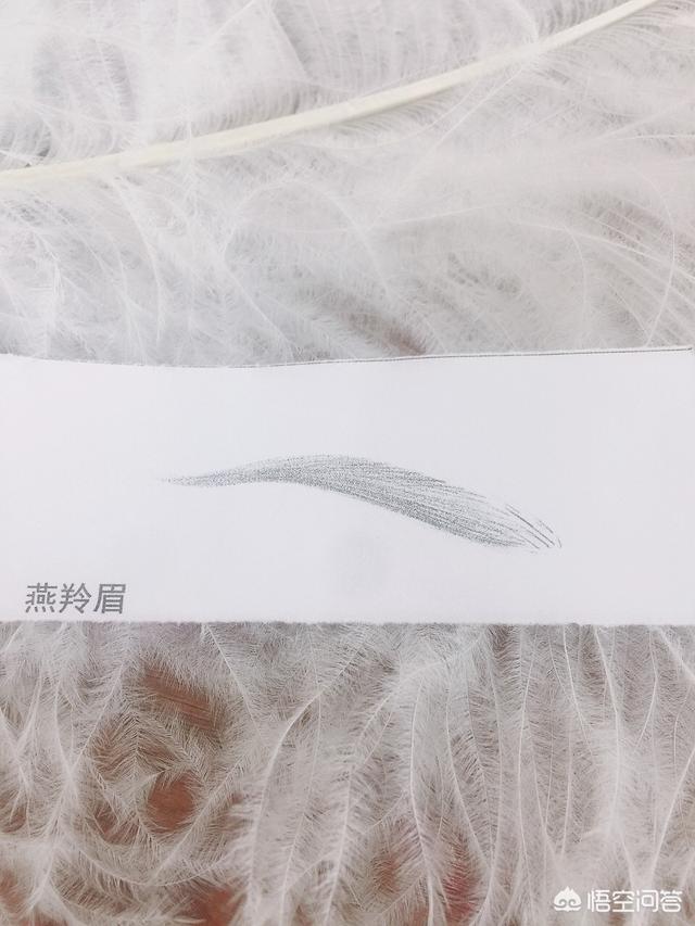 怎样学会眉毛的入门画法呢？插图47