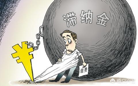 滞纳金是什么？