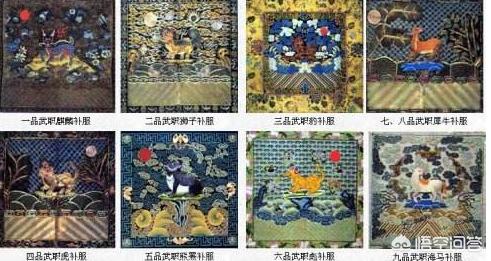 哈尼族白鹇鸟:为什么古代的文武百官衣服上都纹有飞禽走兽啊？