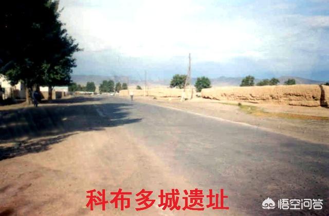 和通泊之战战况如何？