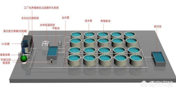 水产蛋白分离机价格:循环水养殖为什么装蛋白分离器？