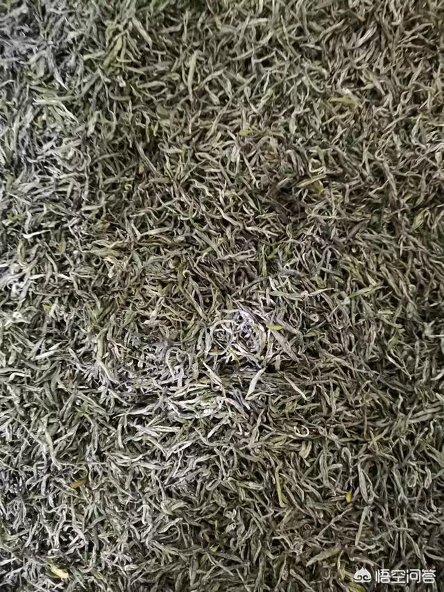 汉中的绿茶系列，仙毫、毛尖、炒青、特炒口感各有啥区别？